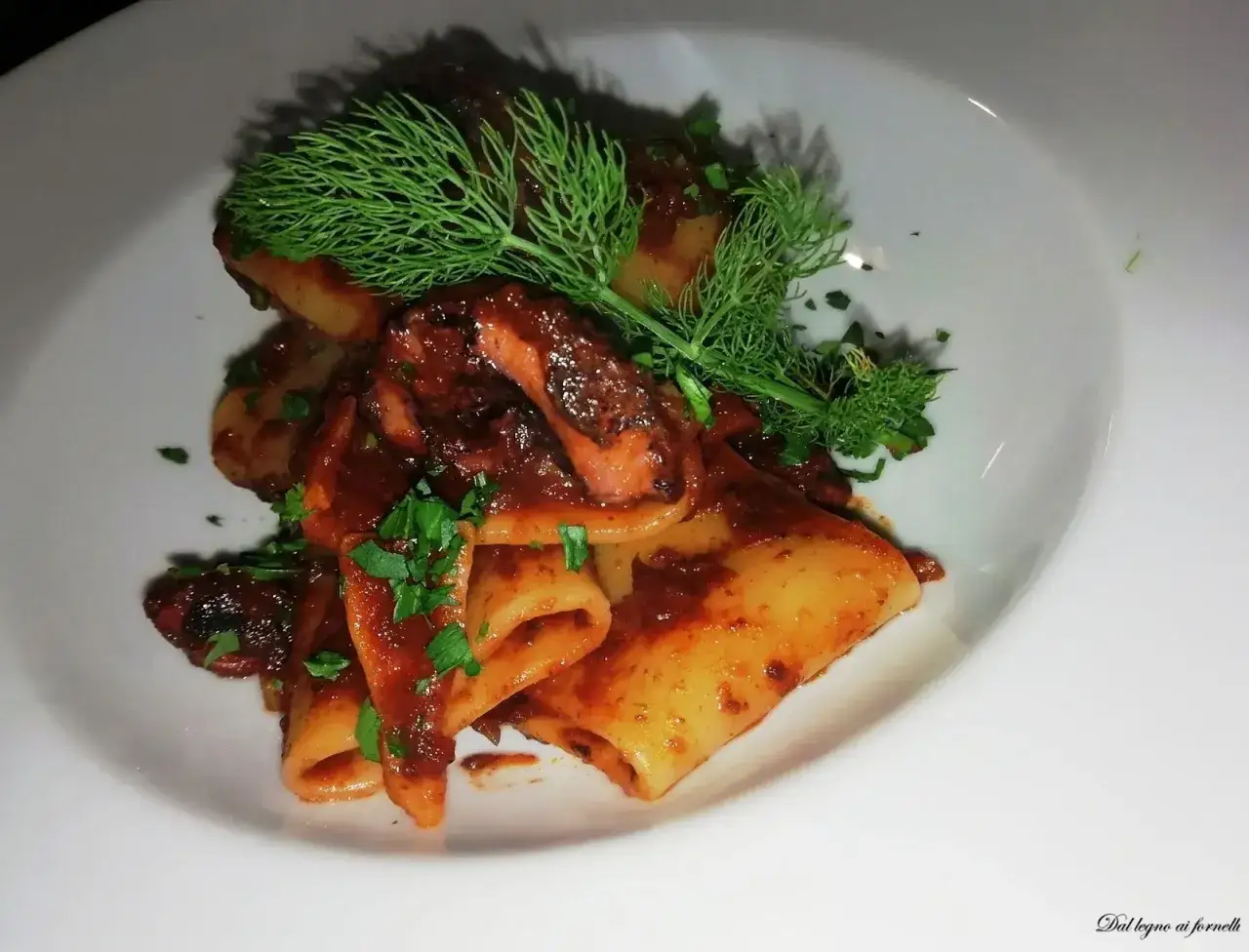 Paccheri conditi con un saporito rag&ugrave; di polpo, guarniti con prezzemolo fresco e finocchietto.