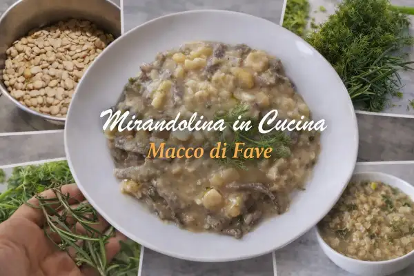 Piatto di macco di fave cremoso, con patate e erbe aromatiche fresche. Ingredienti per un piatto gustoso.